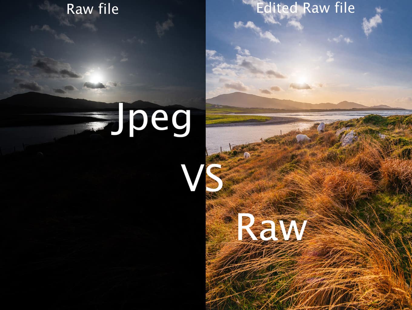 Jpeg vs Raw which is better and why?