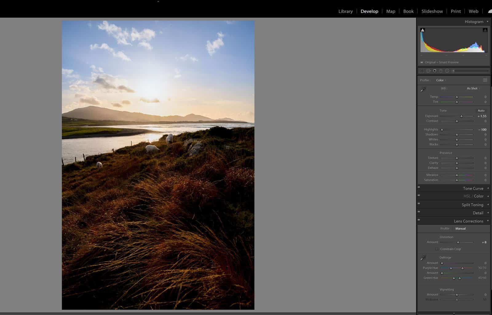 Jpeg Vs Raw Which Is Best & Why Ultimate Photography Tips