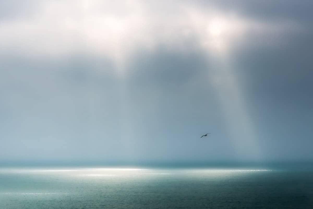 A lone seagul flying in the sky with sun rays piercing through the clouds
