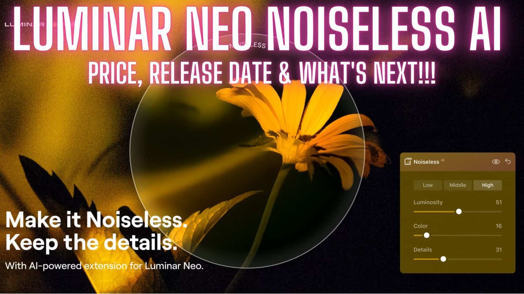 Luminar Neo Noiseless AI… destroy noise not your photographs