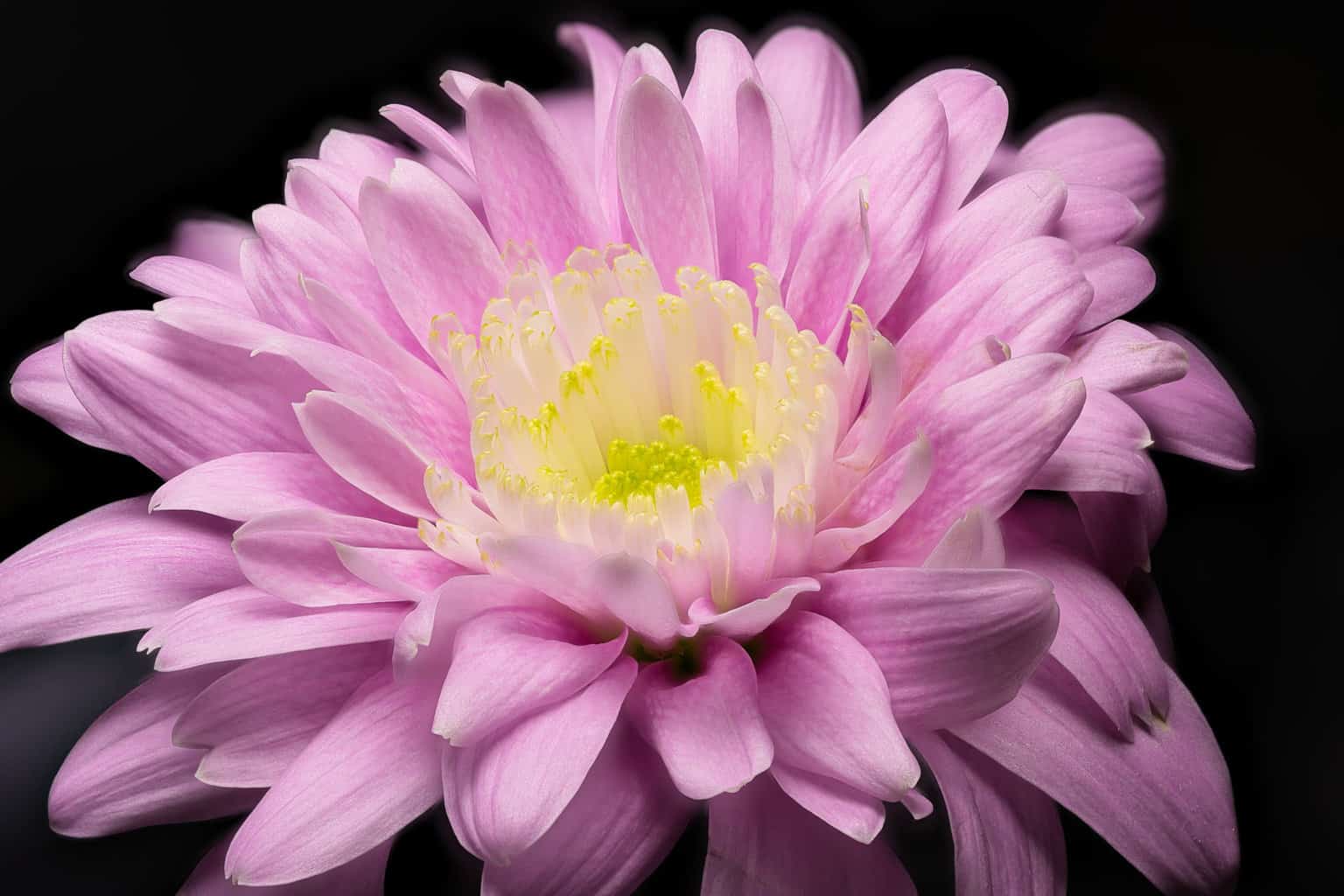 Focus-Stacking-in-Luminar-Neo