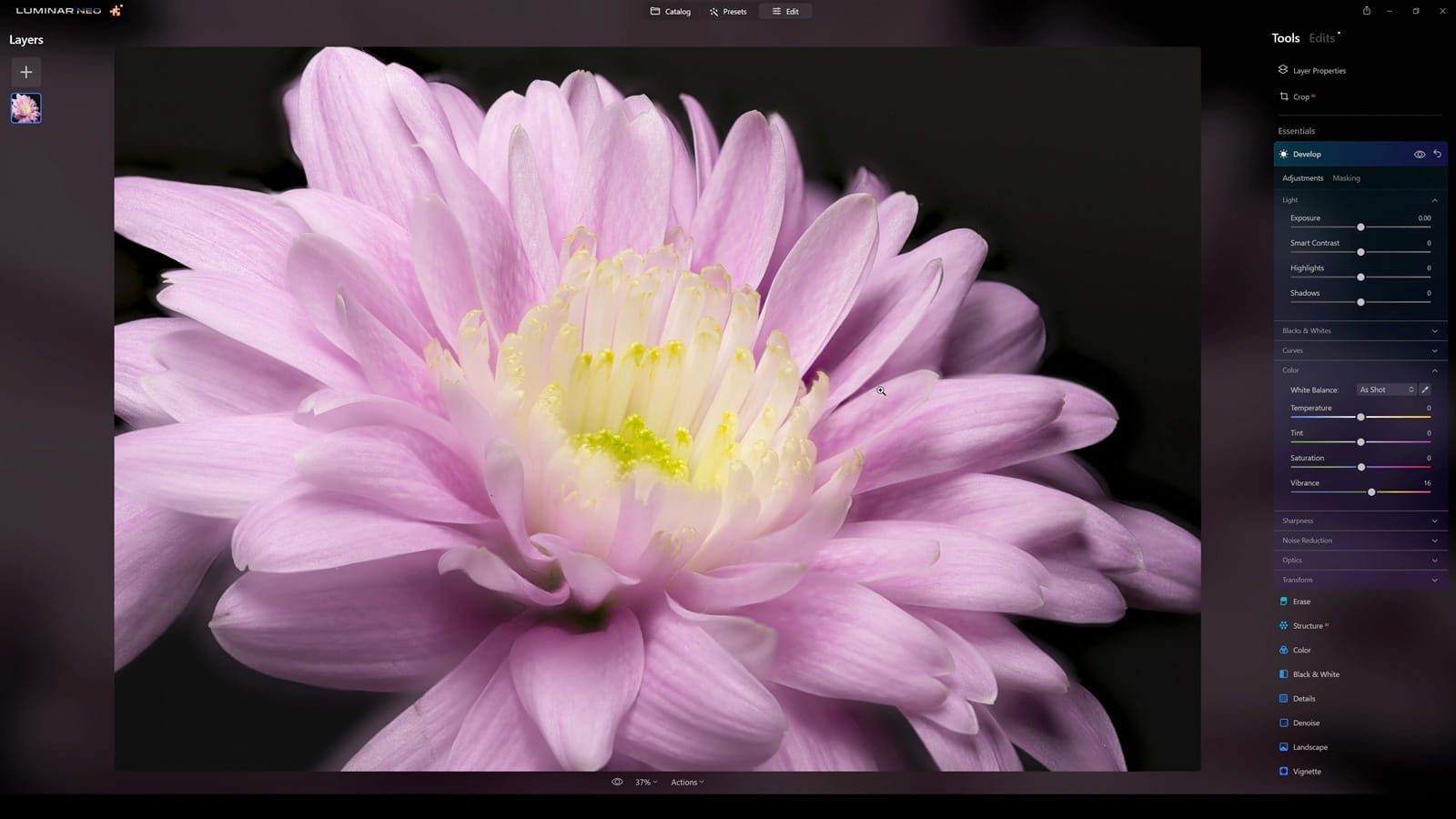 Luminar Neo Review Focus Stacking