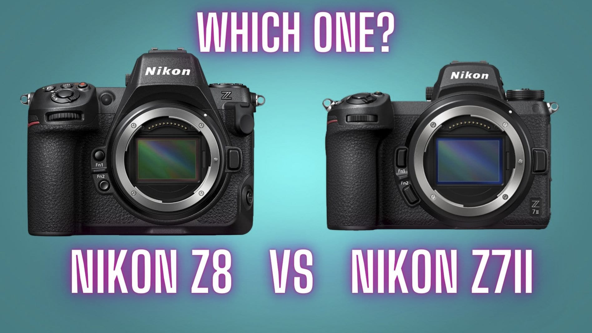 Nikon z8 vs Nikon z7ii